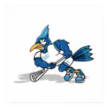 Beltran Blue Jay Print