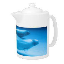 Beluga Mother and Baby