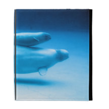 Beluga Mother and Baby iPad Folio Cover