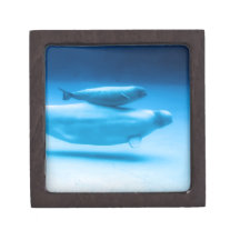 Beluga Mother and Baby Premium Keepsake Box