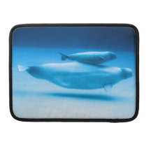 Beluga Mother and Baby Sleeves For MacBook Pro