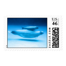 Beluga Mother and Baby Stamps