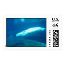 Beluga postage by RainPacket Beluga postage