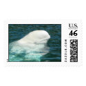 Beluga postage