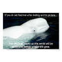 BELUGA posters