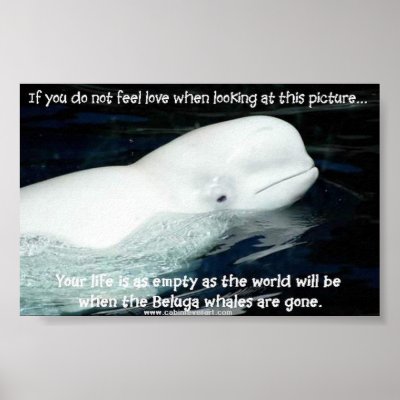 BELUGA POSTER by cabinfeverdavid
