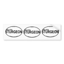 Beluga Sturgeon Euro Stickers Bumper Stickers