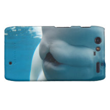 beluga-whale-27.jpg motorola droid RAZR cases