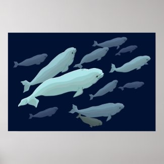 Beluga Whale Art Print Marinelife Whale Painting print
