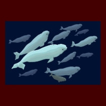 Beluga Whale Art Print Marinelife Whale Painting posters