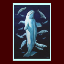 Beluga Whale Art Print Marinelife Whale Painting