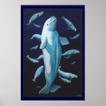 Beluga Whale Art Print Marinelife Whale Painting