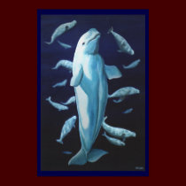 Beluga Whale Art Print Marinelife Whale Painting posters