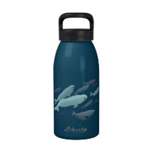 Beluga Whale Art Water Bottle Marine Life Gifts
