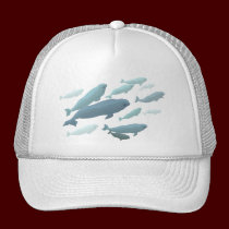 Beluga Whale Baseball Cap & Blue Beluga Gifts hats