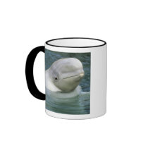 Beluga Whale, Delphinapterus leucas), Captive Mug