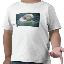 Beluga Whale, Delphinapterus leucas), Captive Tshirt