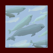 Beluga Whale Fridge Magnet Whale Art Gifts magnets