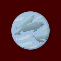 Beluga Whale Fridge Magnet Whale Art Gifts magnets