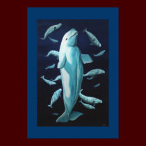 Beluga Whale Print Marine Life Poster Whale Print posters
