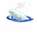 Beluga Whale T-shirt