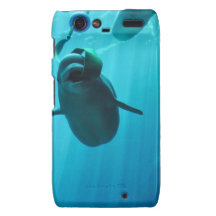 Beluga Whales Droid RAZR Case