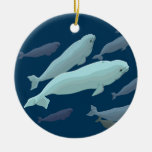 Beluga Whales Ornaments & Marinelife Gifts