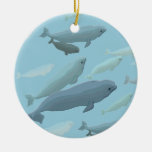Beluga Whales Ornaments & Marinelife Gifts