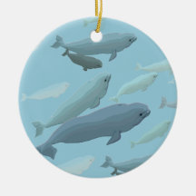 Beluga Whales Ornaments & Marinelife Gifts