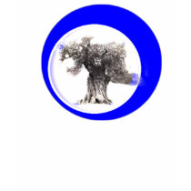 ben banker shirt design