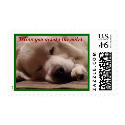 Ben, Miss you across the miles Postage Stamp by beckycliff