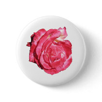 Ben Sandy Rose 023 buttons