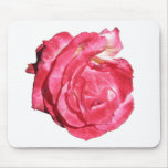 Ben Sandy Rose 023 Mouse Mat