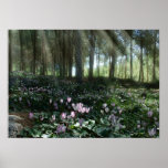 Ben Shemen Forest in Israel, Holy Land Posters