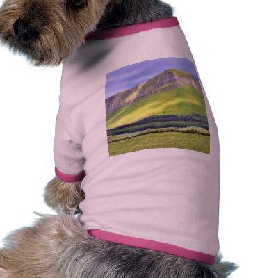 Benbulbin On A Cloudy Day Doggie Shirt by lifesphere