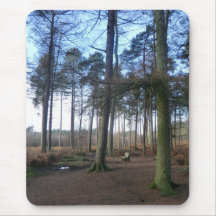 Bench in Delamere Forest Mousepad