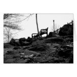 Bench in the Park Cards