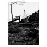 Bench in the Park Cards
