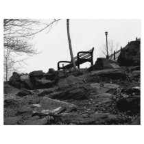 Bench in the Park Flyer Design