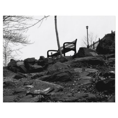 Bench in the Park Flyer Design by DuluthGifts