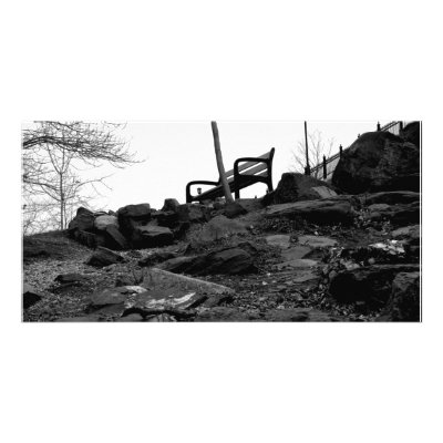 Bench in the Park Picture Card by DuluthGifts