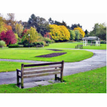 Bench In Valley Gardens Park In Autumn photo sculptures by lifesphere Bench In Valley Gardens Park In Autumn photo sculptures