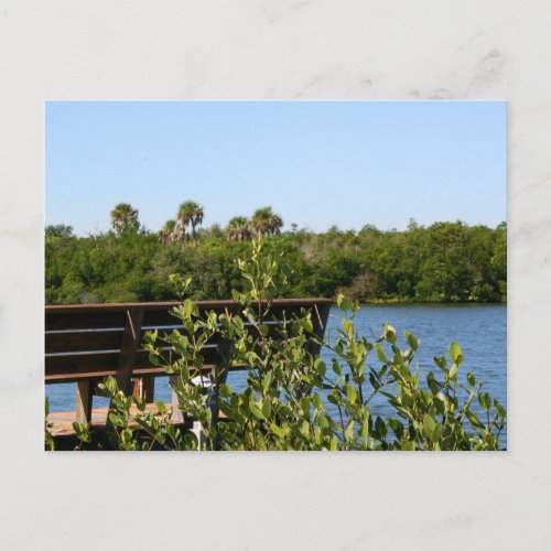 Bench on dock with nature preserve blue sky postcard