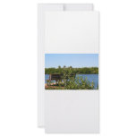 Bench on dock with nature preserve blue sky rack card design