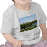 Bench on dock with nature preserve blue sky t-shirt