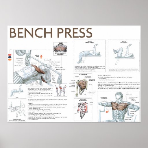 30 Minute Exercise Bench Workout Poster for Fat Body