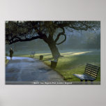 Bench, tree, Regents Park, London, England Posters