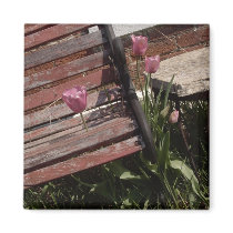 bench tulip magnets