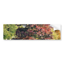 Bench Under The Tree In Park In Autumn bumper stickers by lifesphere Bench Under The Tree In Park In Autumn bumper stickers