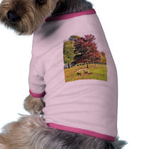 Bench Under The Tree In Park In Autumn pet clothing by lifesphere Bench Under The Tree In Park In Autumn pet clothing
